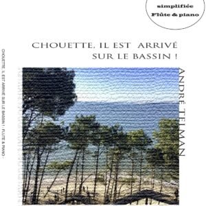 Chouette, il est arrivé sur le bassin (Flute)