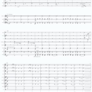 Concerto pour 3 percussions et orchestre d harmonie