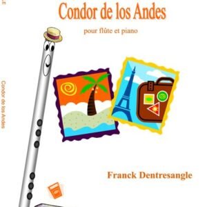 Condor de los Andes