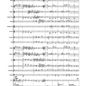 DOUBLE CONCERTO (Full orchestra)
