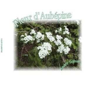 Fleur d'Aubepine