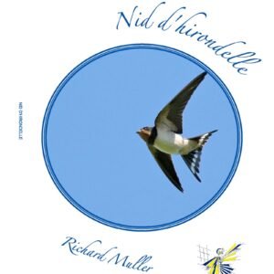 Nid d'hirondelle