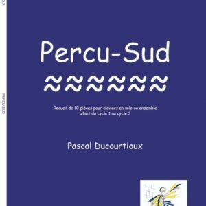 Percu-sud (en solo ou en ensemble)